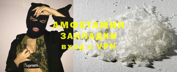 прущие грибы Инта