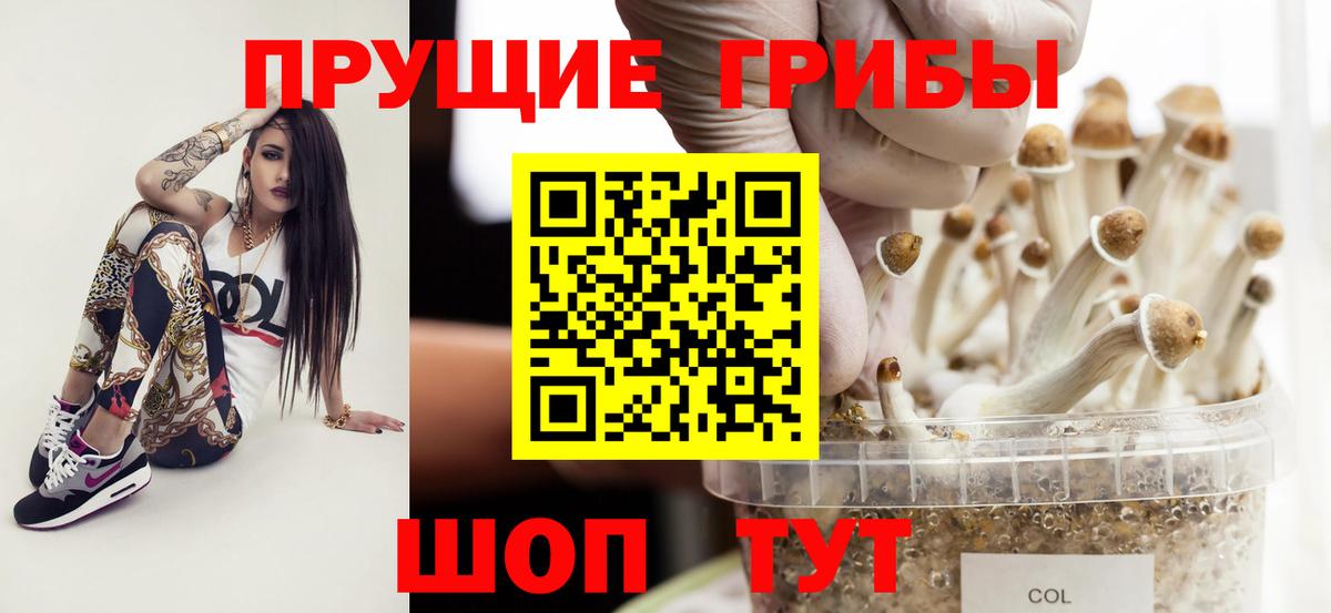 Луховицы  Галлюциногенные грибы Psilocybe  Вход с VPN 